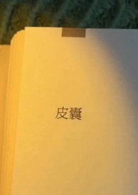 皮囊未删减版免费看
